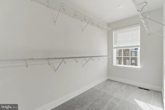 a bathroom with a sink and a shower