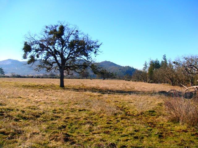 346 Salt Creek Road Eagle Point, OR 97524 - Photo 15 of 35 Additional Photo