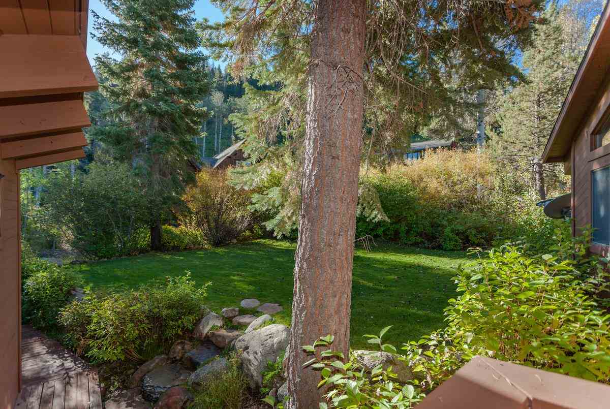 1311 Pine Trail Alpine Meadows, CA 96146 - Photo 3 of 14 a view of a garden with a tree