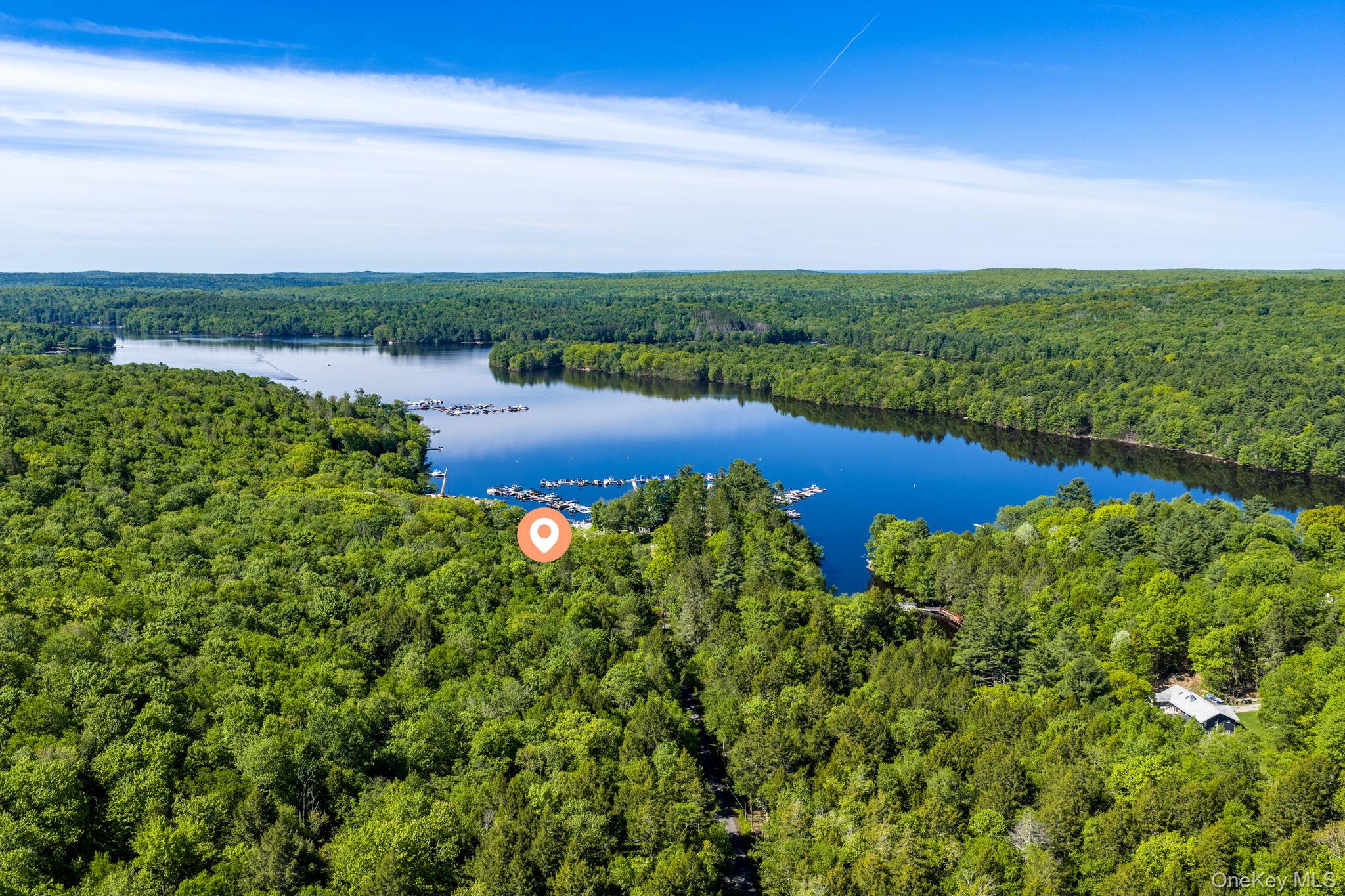 370 Starlight Road Monticello, NY 12701 - Photo 2 of 49 a view of a lake with houses in back