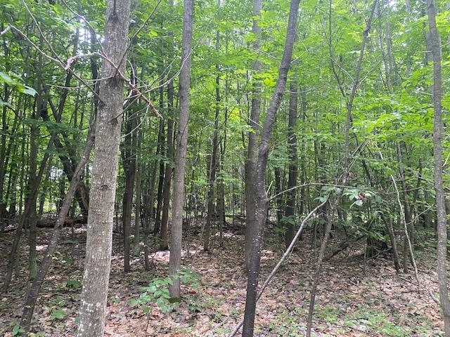 Green Briar Road Lake Ann, MI 49650 - Photo 16 of 16 1947287-0f6ba8fd-2e29-41b7-8c33-0527921a4834.JPG
