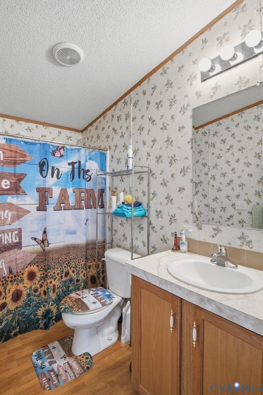 25825 Ridge Lane McKenney, VA 23872 - Photo 20 of 48 a bathroom with a sink mirror vanity and toilet
