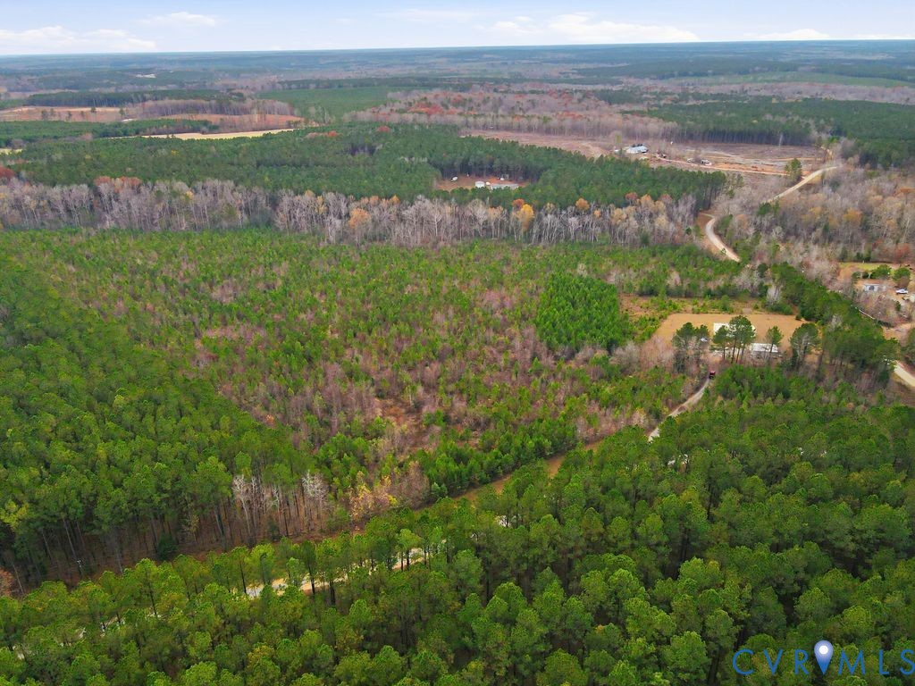 25825 Ridge Lane McKenney, VA 23872 - Photo 45 of 48 a view of lake with mountain