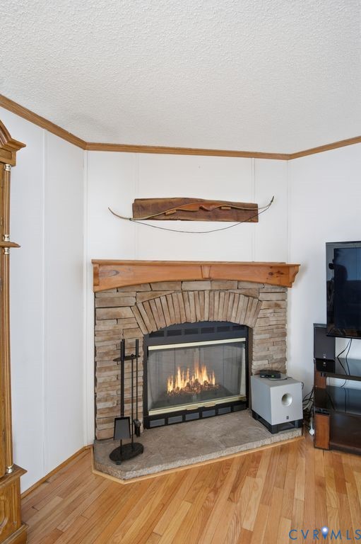 25825 Ridge Lane McKenney, VA 23872 - Photo 9 of 48 a living room with furniture and a fireplace