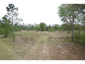 87 Southwest 87th Place Lake Butler, FL 32054 - Photo 1 of 1 a view of a field with trees in the background