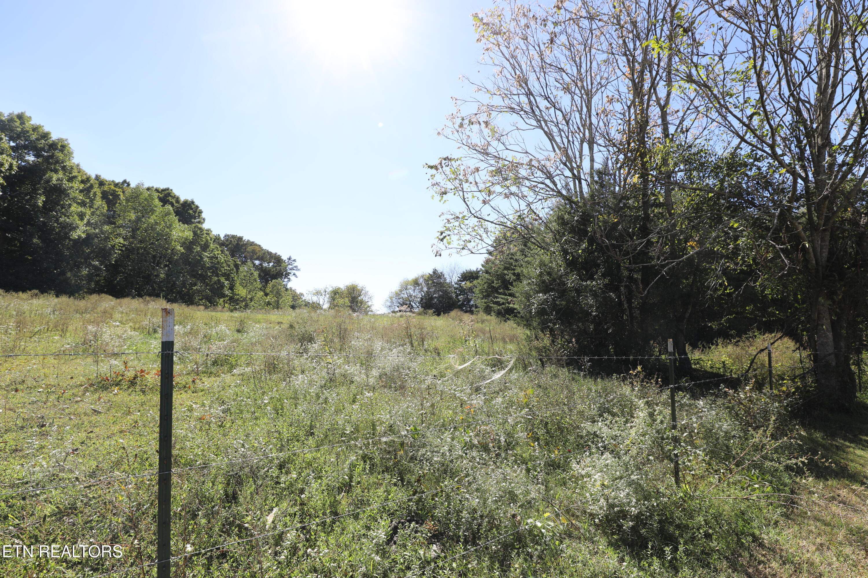 222 Summit Road Madisonville, TN 37354 - Photo 12 of 46 144A4285