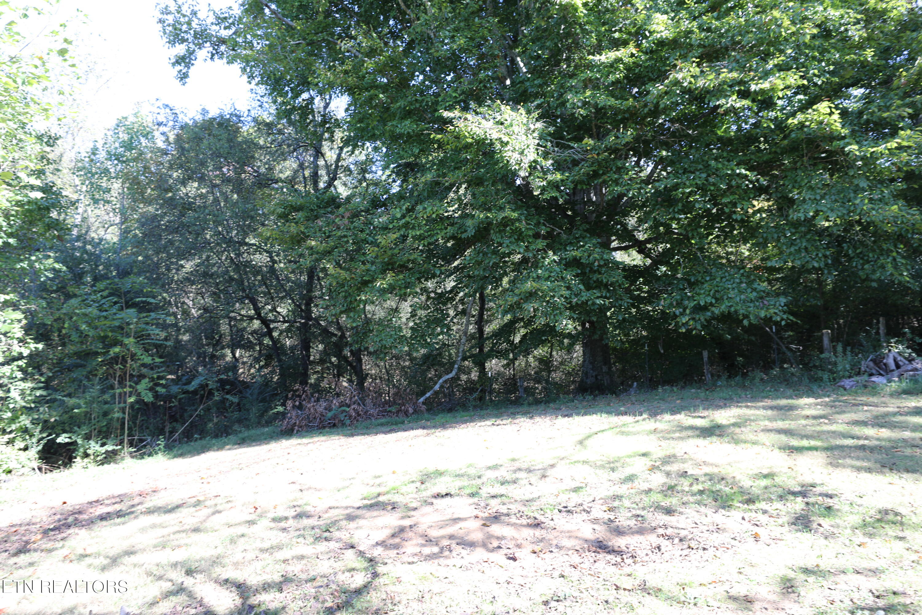 222 Summit Road Madisonville, TN 37354 - Photo 39 of 46 144A4255