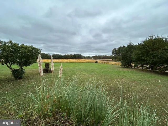 an empty room with wooden floor chandelier fan and windows