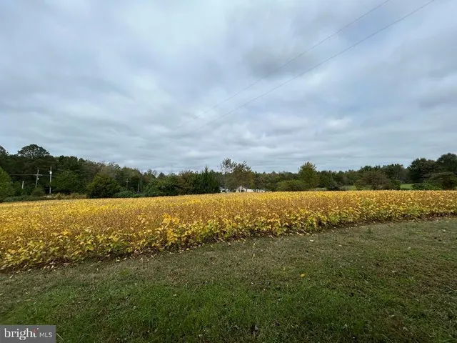 $2,795 | 15471 U.S. Rte 1, Woodford, VA 22580