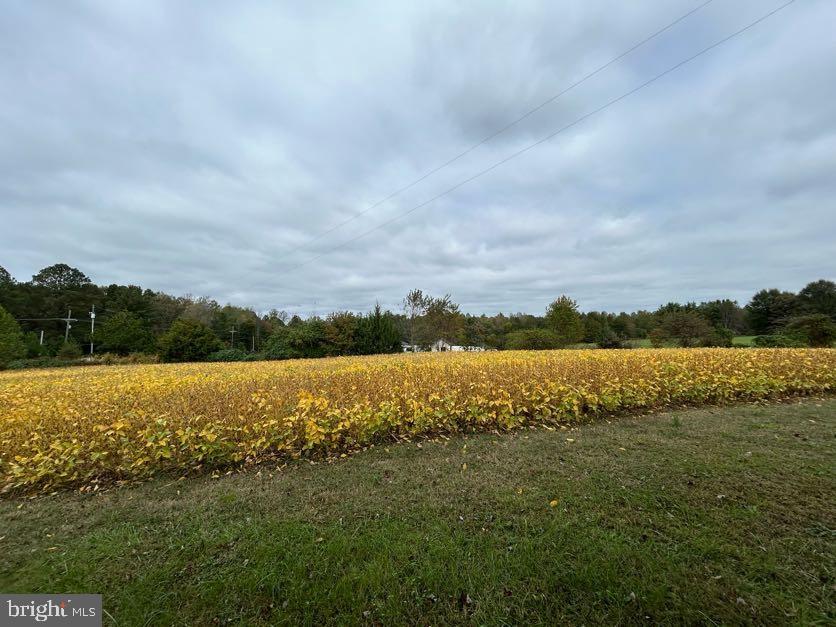 15471 U.S. Rte 1 Woodford, VA 22580 - Photo 74 of 74