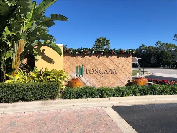a view of a garden with a chair and a potted plant