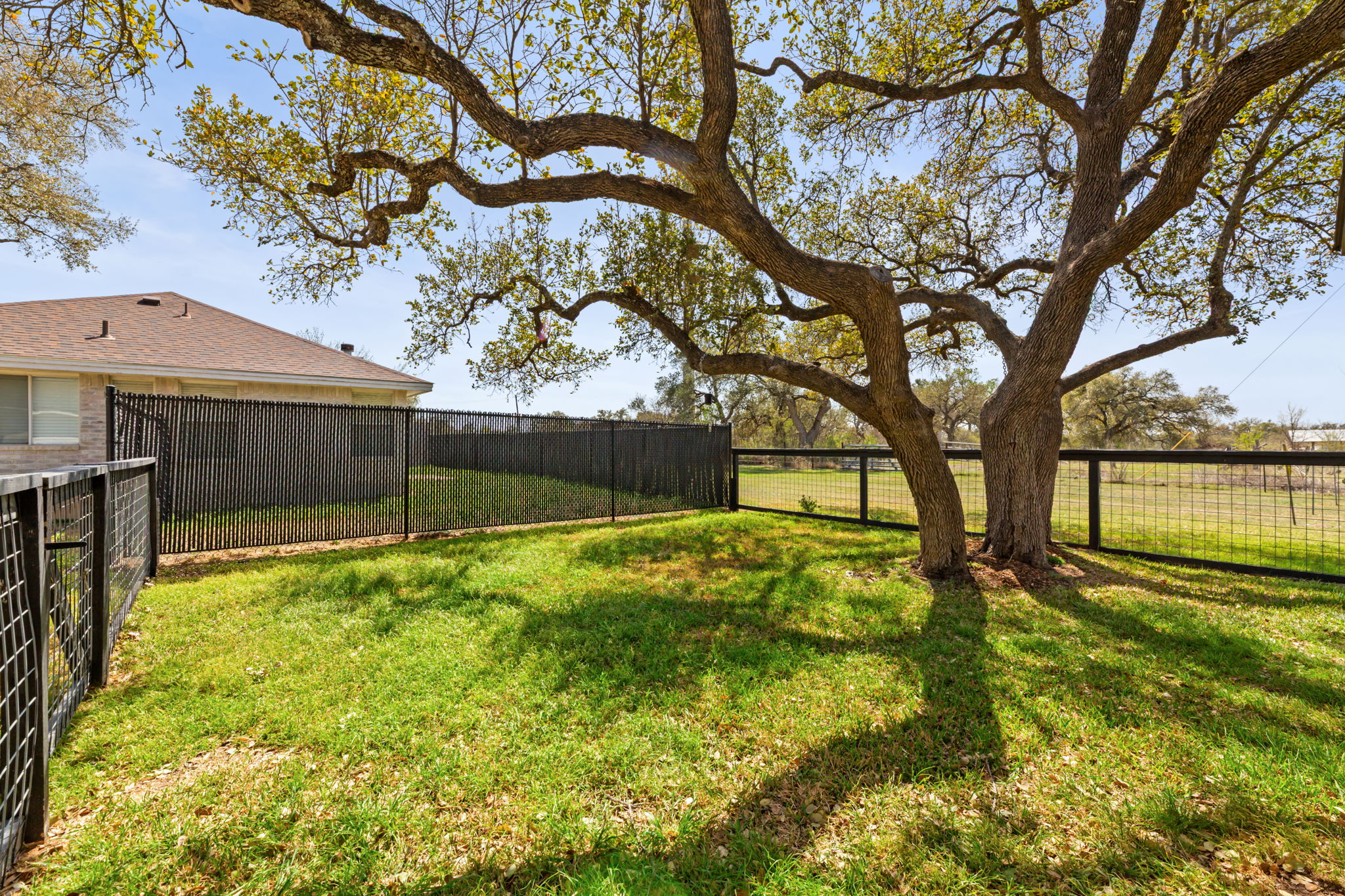 109 Riverview Drive Georgetown, TX 78628 - Photo 31 of 35 View of yard