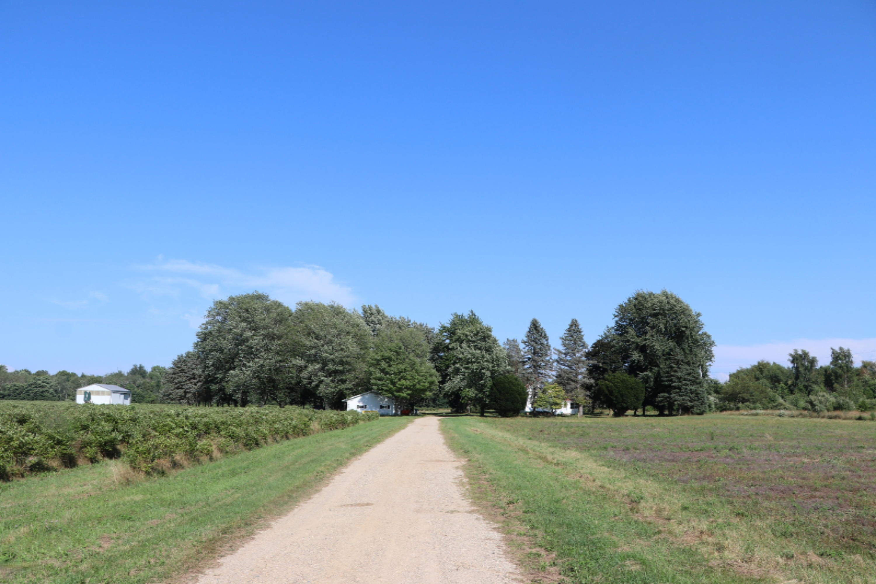 3835 Pier Road Benton Harbor, MI 49022 - Photo 2 of 37 IMG_5322