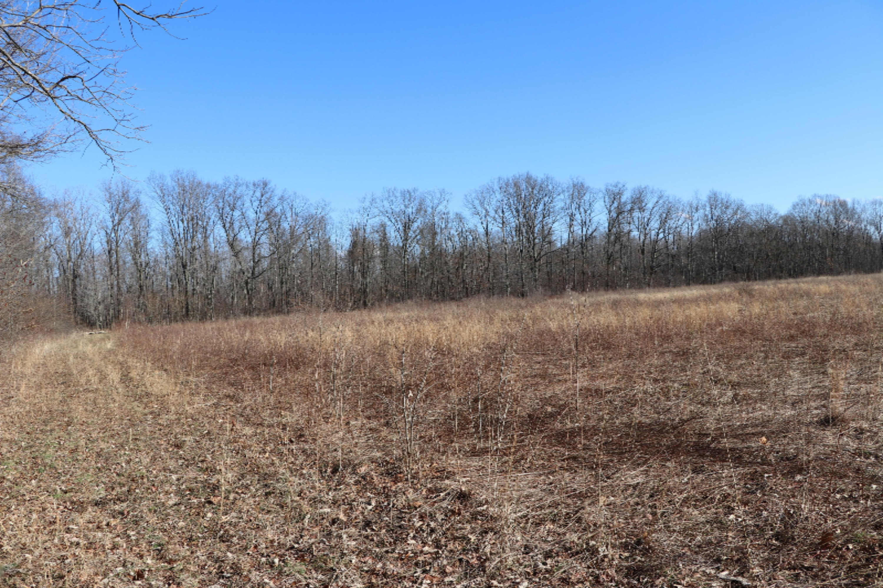 3835 Pier Road Benton Harbor, MI 49022 - Photo 29 of 37 IMG_3190