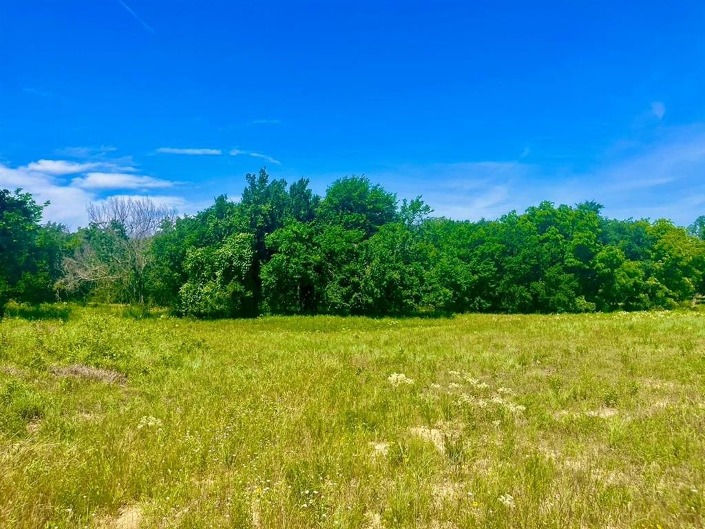 Lot 99 Arlow Road Poolville, TX 76487 - Photo 3 of 4 View of nature