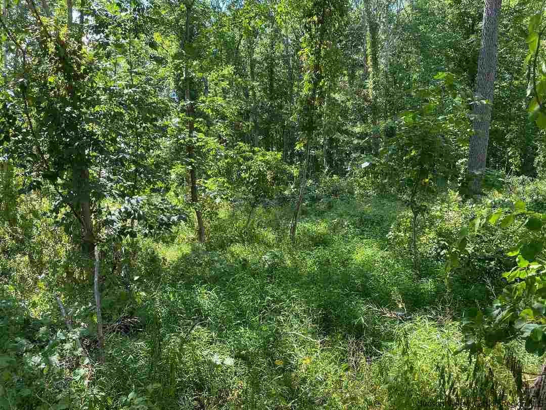 Tbd North Tbd N Elting Road Highland, NY 12528 - Photo 2 of 3 Photo 2