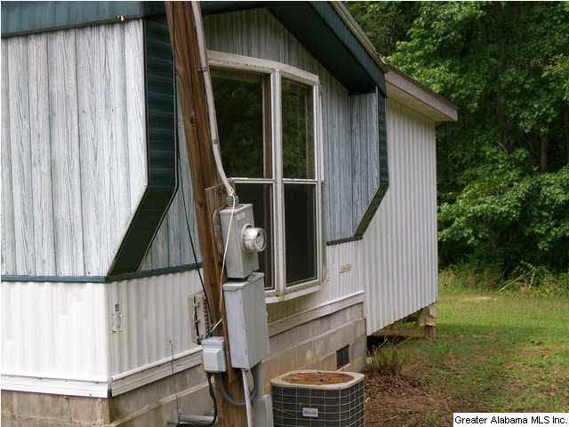 1775 Blue Sky Road Adger, AL 35006 - Photo 2 of 24