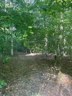 0 Cherokee Trail Nancy, KY 42544 - Photo 3 of 5 IMG_7644