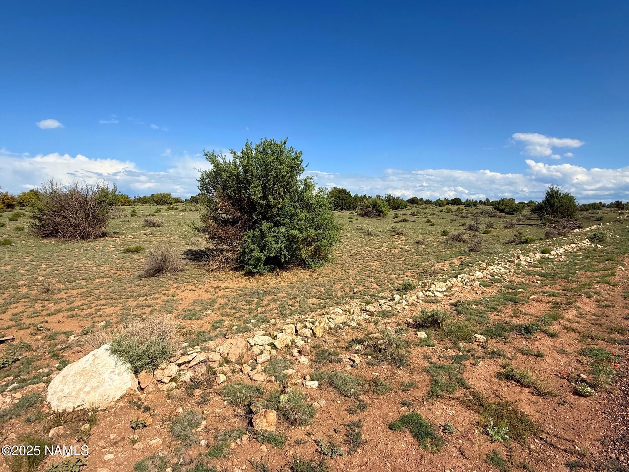 8809 Northstar Road Williams, AZ 86046 - Photo 3 of 8 3