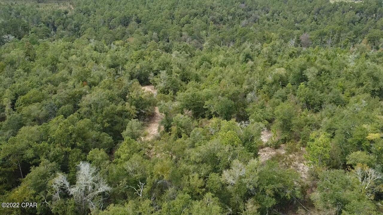 Xxx Richard Hardy Road West Bristol, FL 32321 - Photo 5 of 23