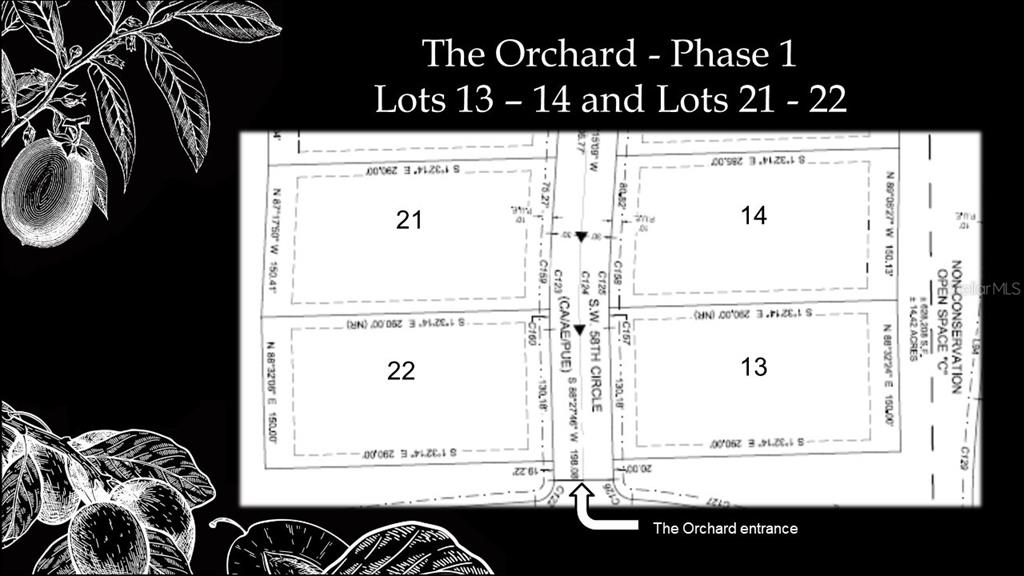 12504 Southwest 58th Place Archer, FL 32618 - Photo 5 of 22