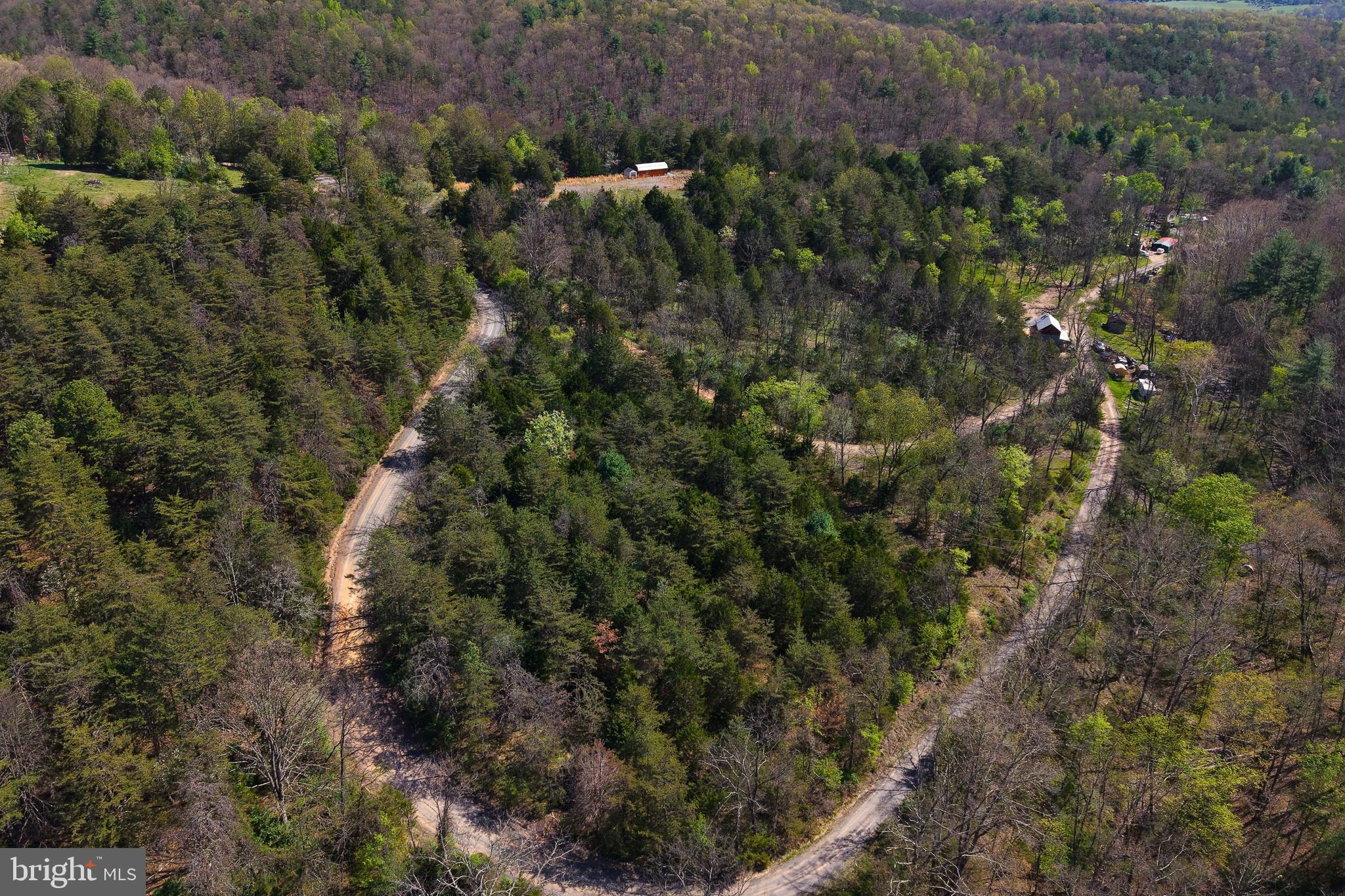 Lot 1 Deep Run Hollow Road Delray, WV 26714 - Photo 23 of 26