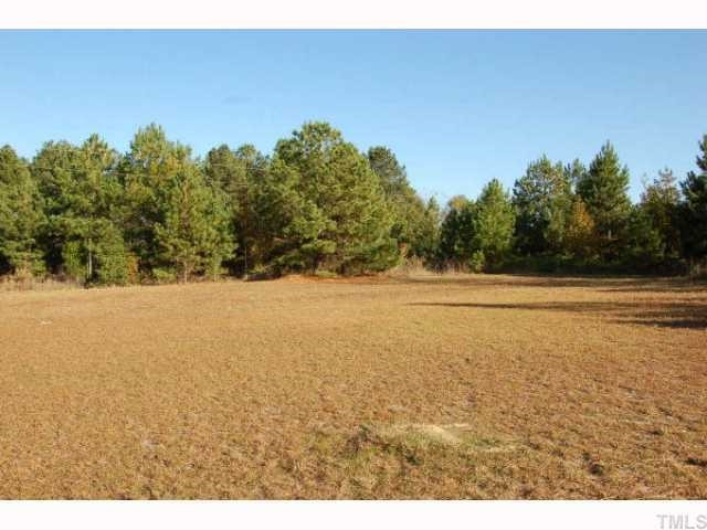 984 Nubbins Ridge Lane Carthage, NC 28327 - Photo 3 of 7 Photo 3