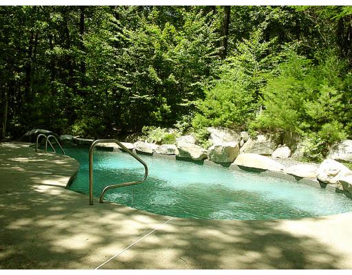 35 Bowditch Road Sudbury, MA 01776 - Photo 4 of 12 a view of a garden