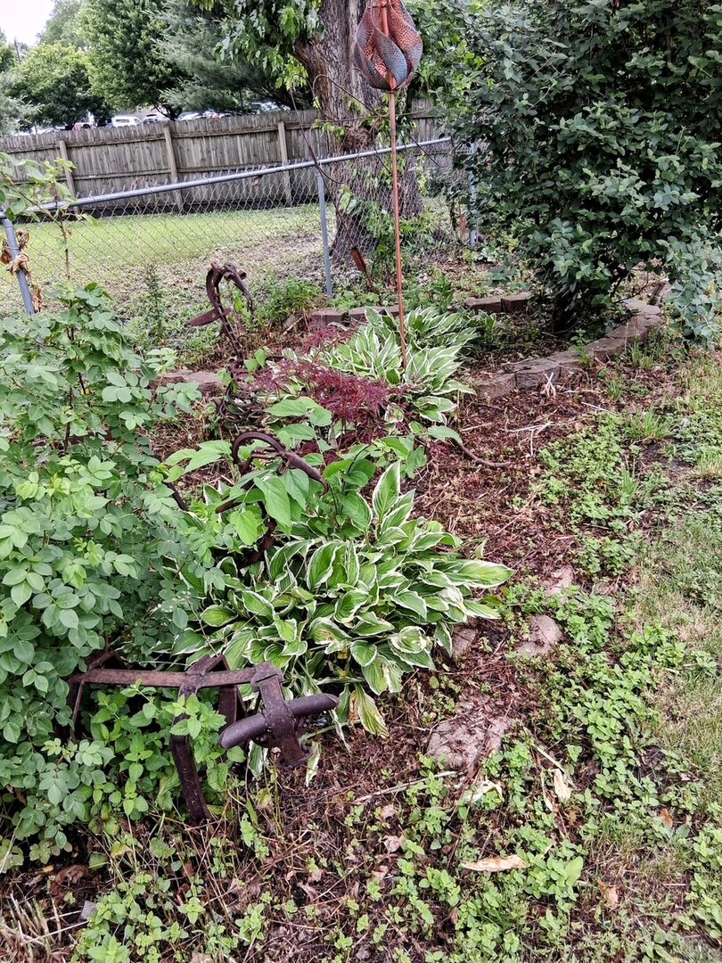 742 South 4th Street DeKalb, IL 60115 - Photo 39 of 46 a view of a backyard