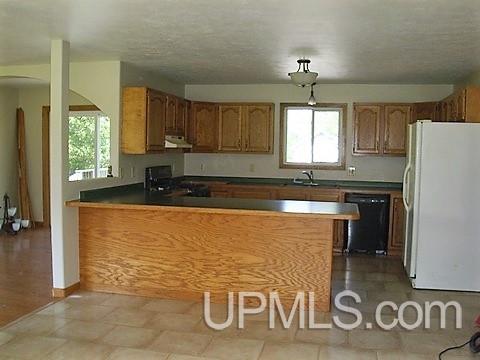 3154 County 426 24th Road Cornell, MI 49818 - Photo 4 of 21