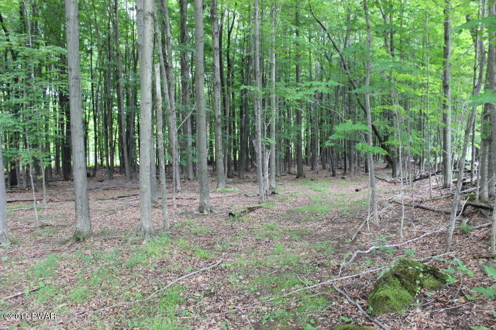 1049 Swoyer Road Lake Ariel, PA 18436 - Photo 28 of 31