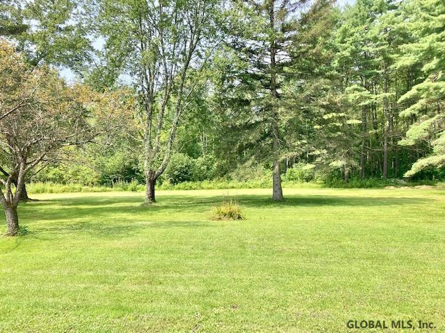 282 Burt Road Moreau, NY 12828 - Photo 15 of 21 Backyard