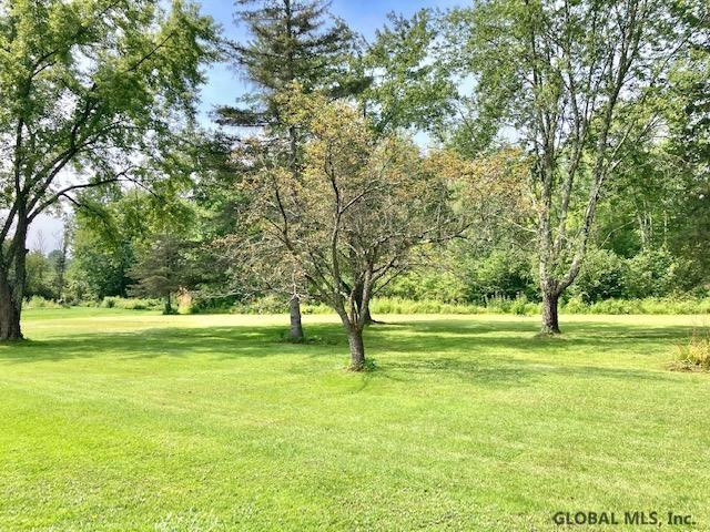 282 Burt Road Moreau, NY 12828 - Photo 16 of 21 Back Yard