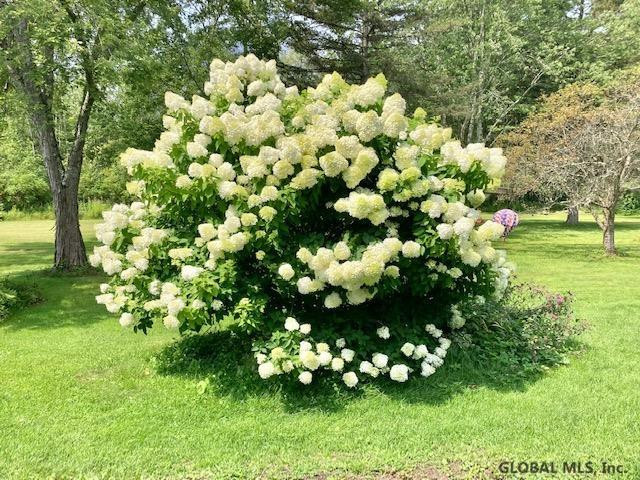 282 Burt Road Moreau, NY 12828 - Photo 18 of 21 Bush