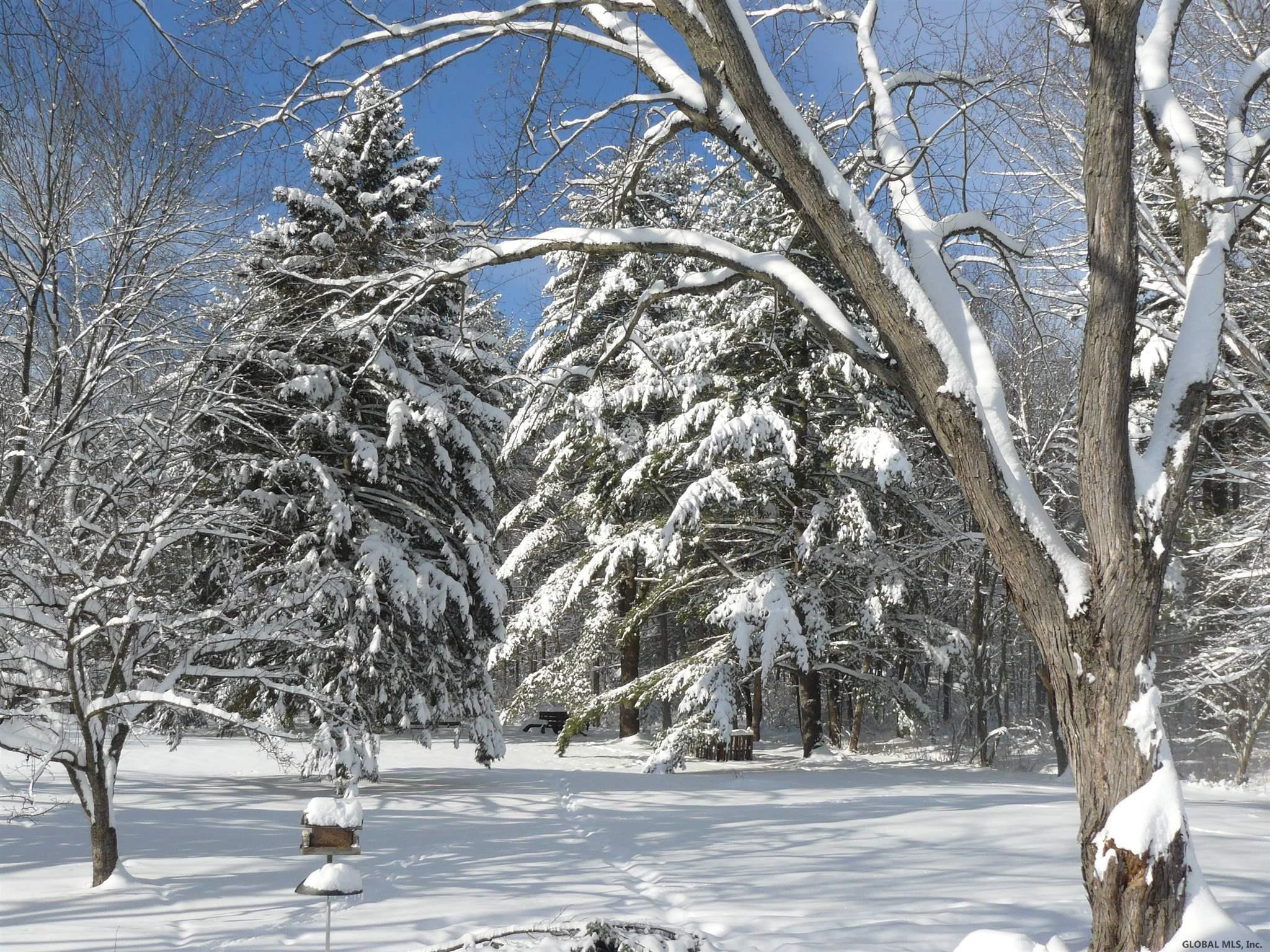 282 Burt Road Moreau, NY 12828 - Photo 21 of 21 Burt in Winter