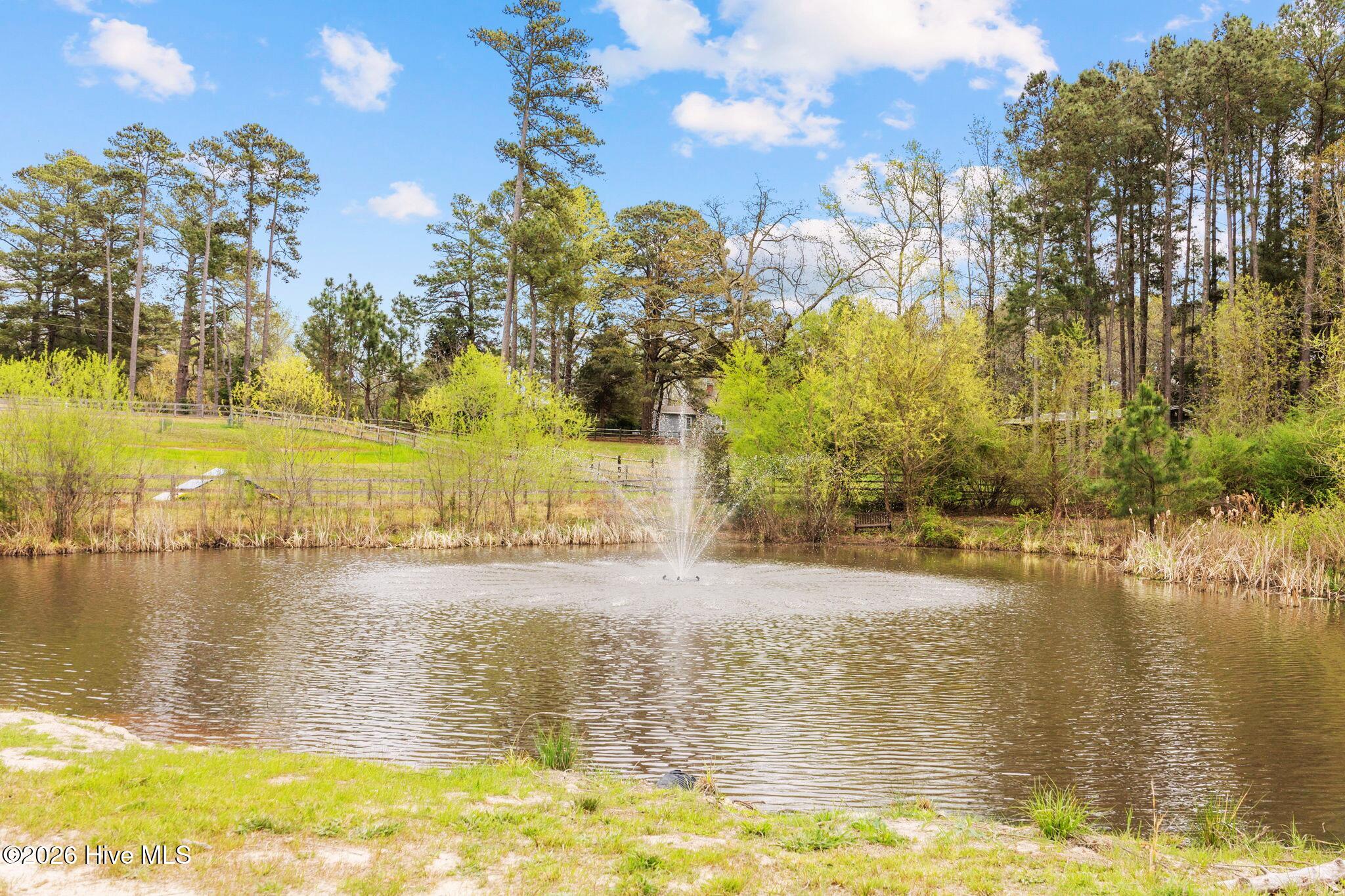 230 Causey Road Vass, NC 28394 - Photo 28 of 42 Front Pond