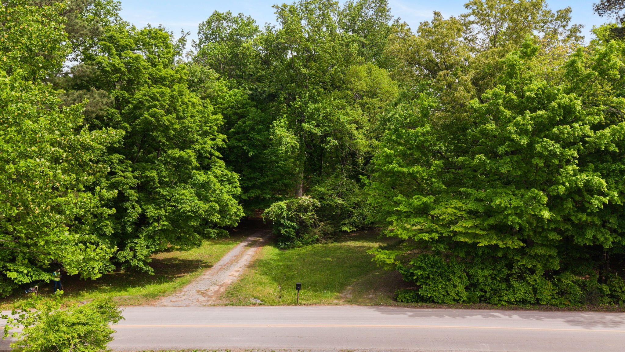 3414 No Pone Road Northwest Georgetown, TN 37336 - Photo 11 of 30 a view of a yard