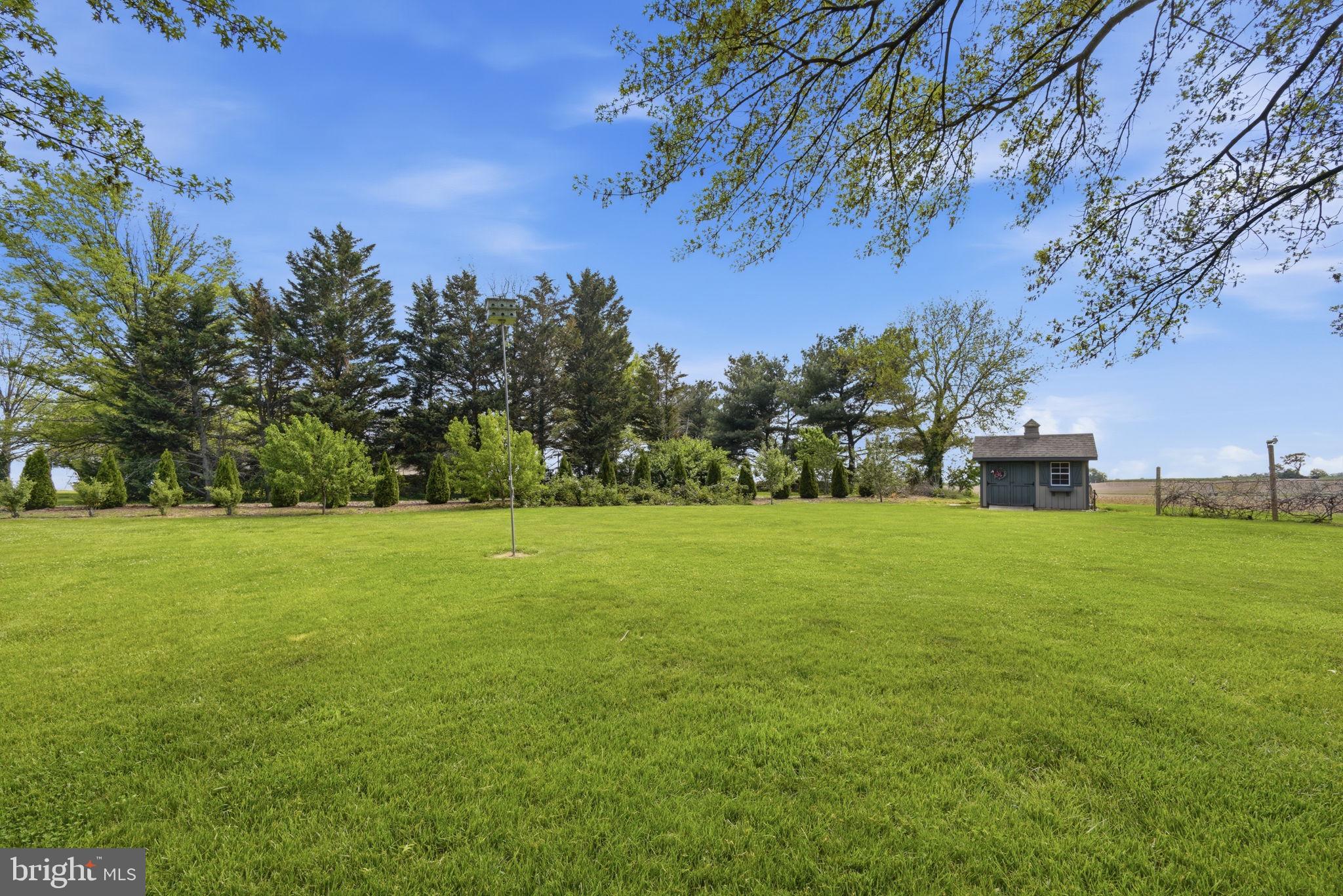 12089 Blacks Station Road Kennedyville, MD 21645 - Photo 22 of 39 a view of a field of grass and trees