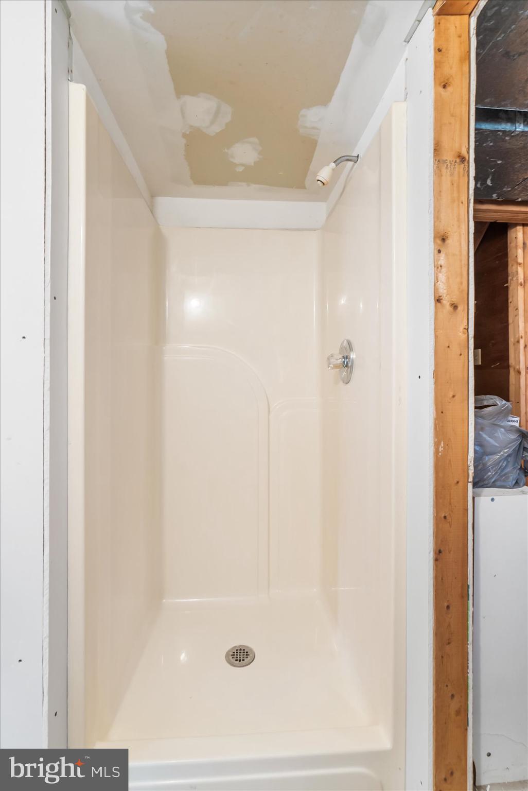 318 Cockeys Mill Road Reisterstown, MD 21136 - Photo 41 of 65 finished stall shower LL