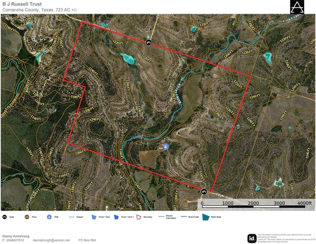 a black and white photo of a tree