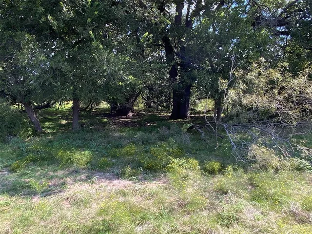 a view of a big yard