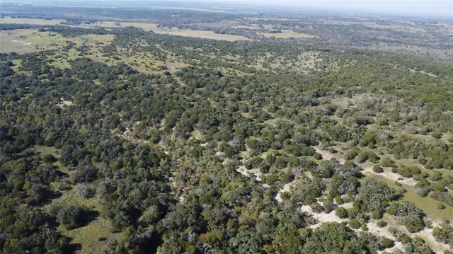 an aerial view of forest