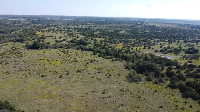 a view of a field with a forest