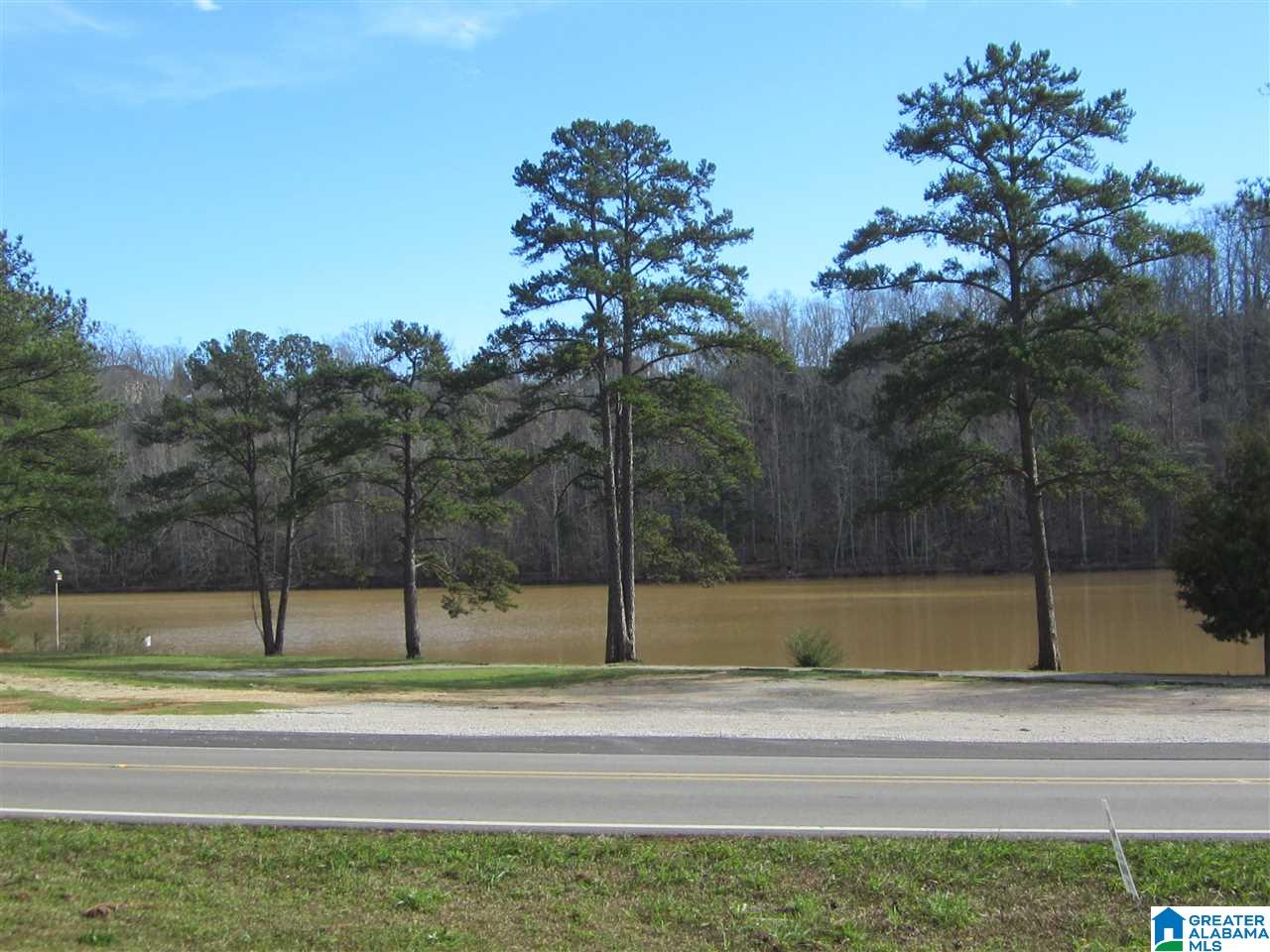 6176 Old Springville Road Pinson, AL 35126 - Photo 25 of 26