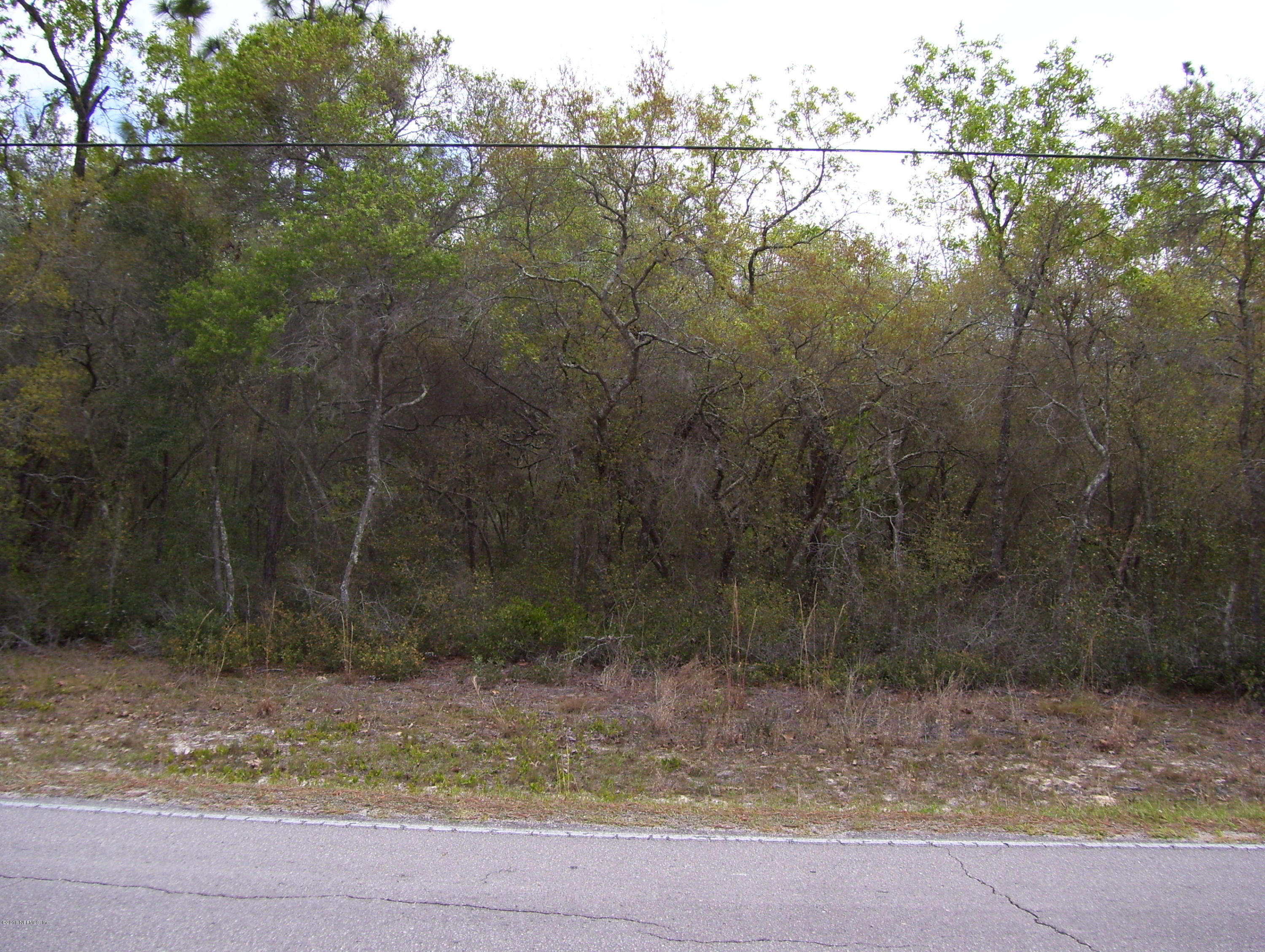 6634 Immokalee Road Keystone Heights, FL 32656 - Photo 3 of 4 a view of a yard with trees
