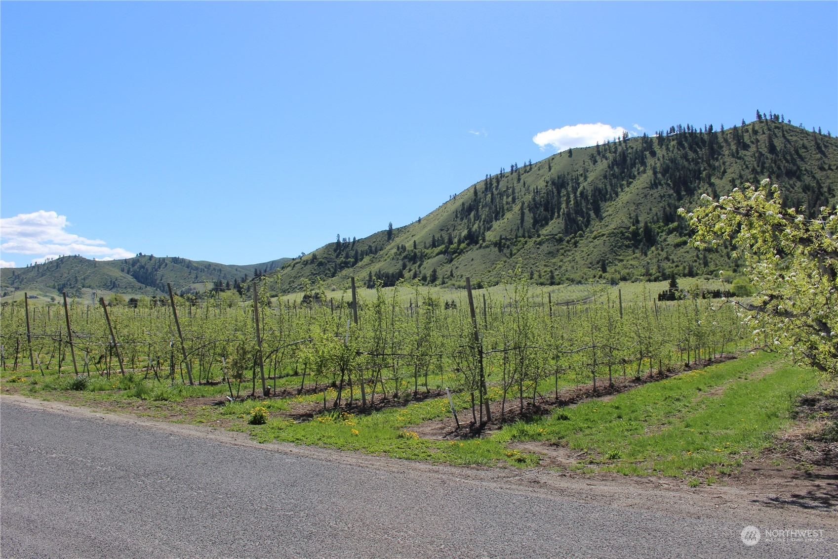 59 Wohlers Road Cashmere, WA 98815 - Photo 12 of 36 Gallery Image 12