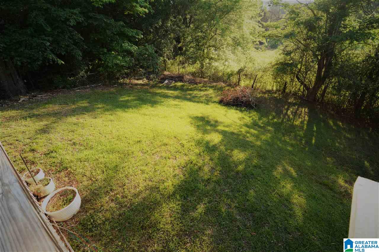1185 Logan Martin Dam Road Vincent, AL 35178 - Photo 34 of 39