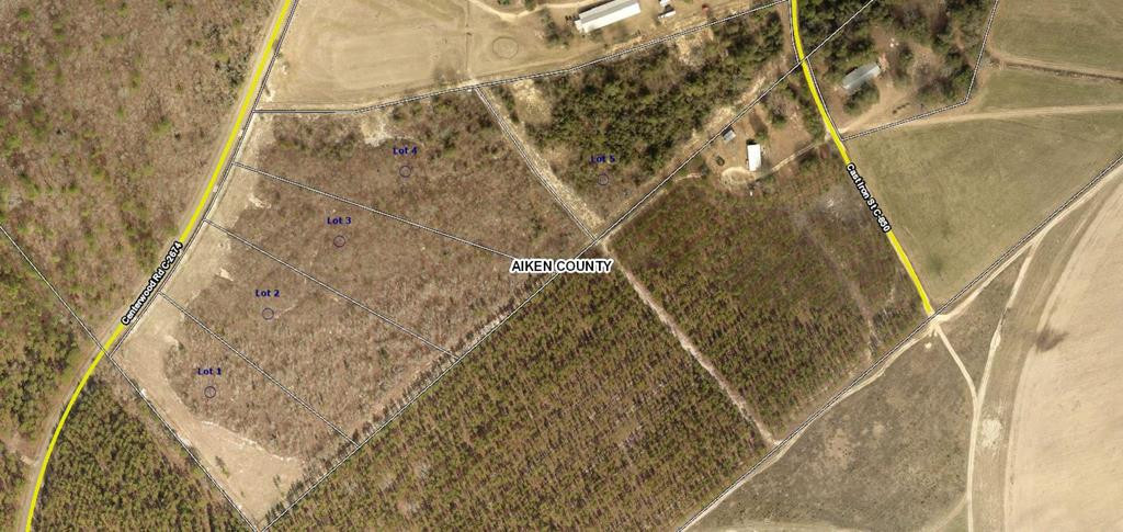 Lot 2 Centerwood Road Windsor, SC 29856 - Photo 5 of 5