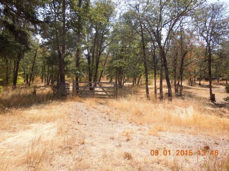 425 Dick George Road Cave Junction, OR 97523 - Photo 14 of 23 Additional Photo