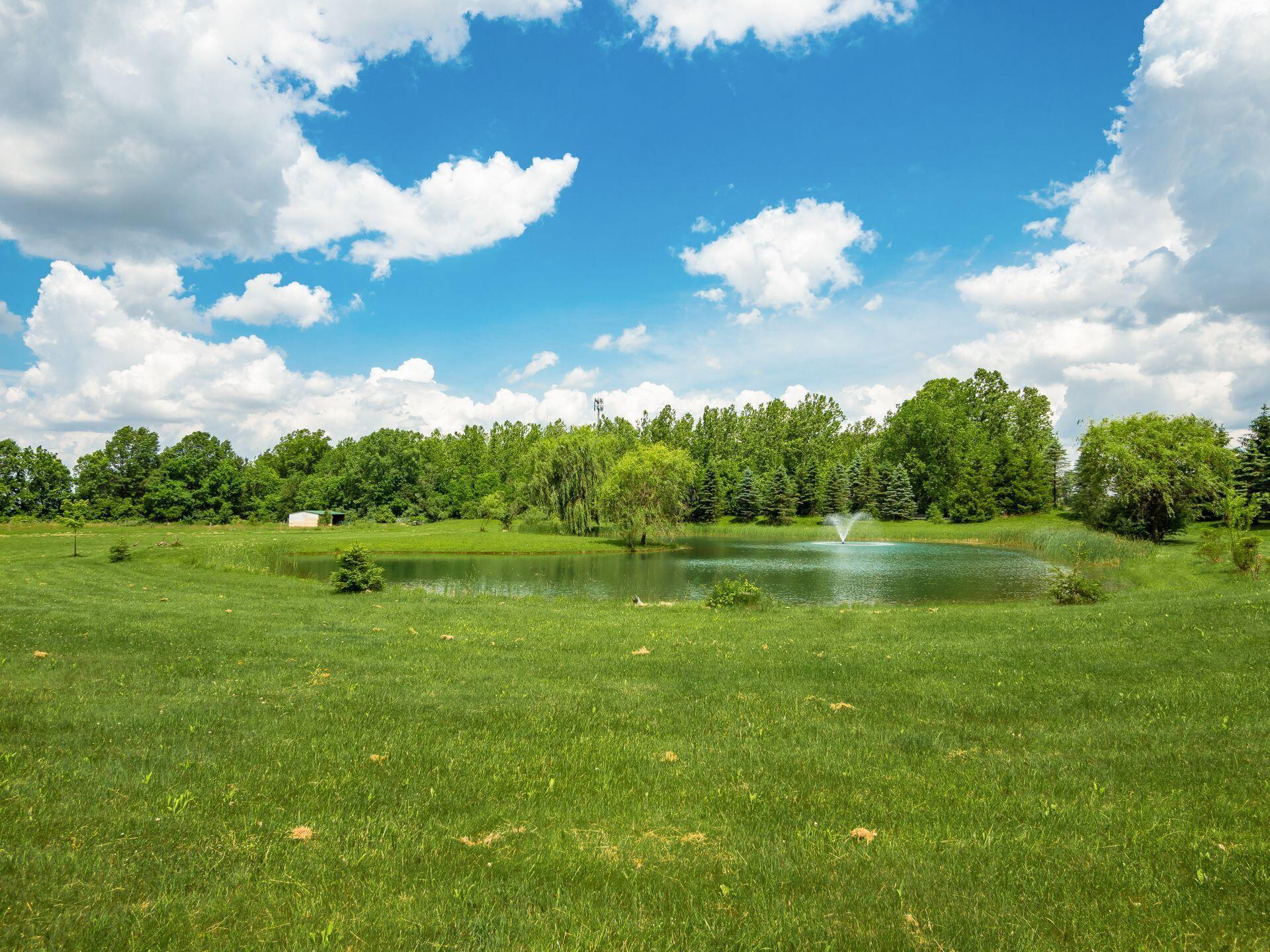 3575 State Rte 37 West Delaware, OH 43015 - Photo 87 of 92 Acres of Pasture & Woods, Pond